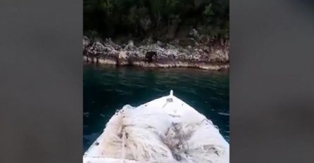 Medvjed se kupao u moru u blizini Neuma (VIDEO)
