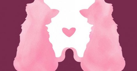 ŠTA STE PRVO VIDJELI NA OVOJ SLICI? Sada pogledajte rješenje: Evo šta vas čeka u ljubavi, SVIMA JE POGODILO