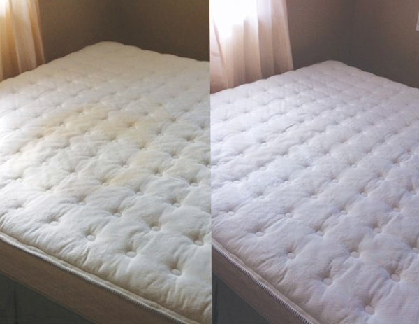 urine-mattress-before-after