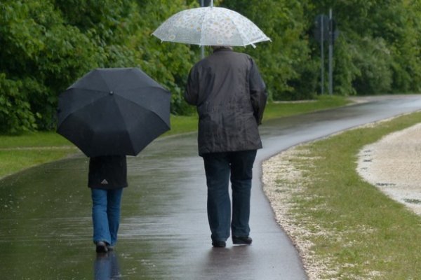 6lfatjtbykeybljgjdltk7wntewmc21fedq-768x512