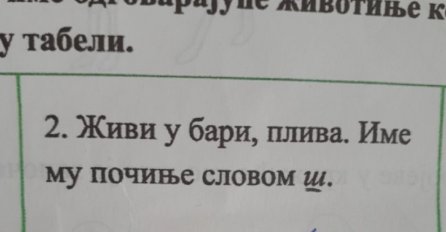 ZADATAK ZA 1. RAZRED JE ZBUNIO SVE RODITELJE: Niko ne može da pogodi KOJA JE ŽIVOTINJA U PITANJU, pogledajte šta je dijete odgovorilo