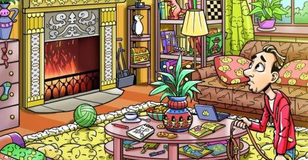 MOŽETE LI NAĆI PSA NA SLICI? MUŠKARAC GA TRAŽIO CIJELO JUTRO: Čekajte da vidite gdje se sakrio, NIKO NE MOŽE IZ PRVE POGODITI