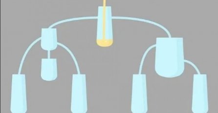 MOZGALICA ZBUNILA DRUŠTVENE MREŽE: Koja čaša će se prva napuniti? 