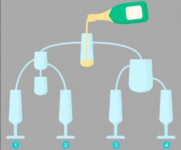 mozgalica-casa-izazov-prtscr