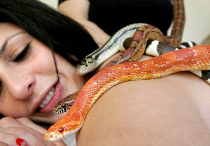 SAN UPOZORENJA KOJEG NE TREBA IGNORISATI: Evo šta znači kada sanjate zmije