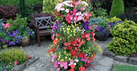 PREPORODITE SVOJE CVIJEĆE: Evo kako da ga njegujete, a ove TRI greške više ne smijete više praviti