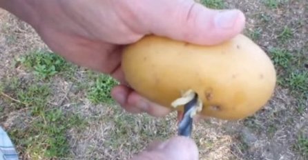 STAVIO JE RUŽU U KROMPIR I ZASADIO IH: Niklo je nešto zaista predivno (VIDEO)