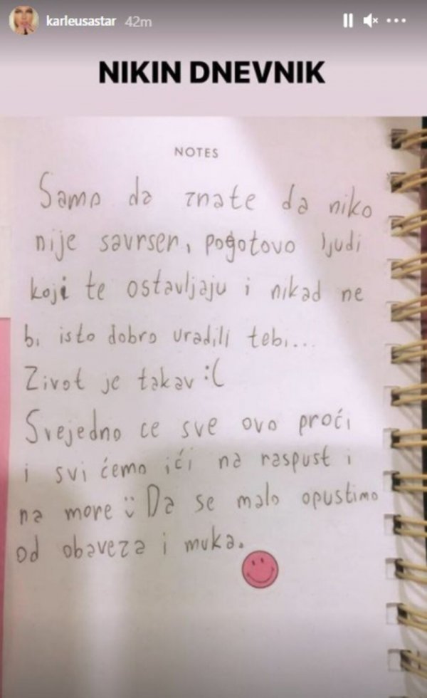 947195-nikin-dnevnik-ff