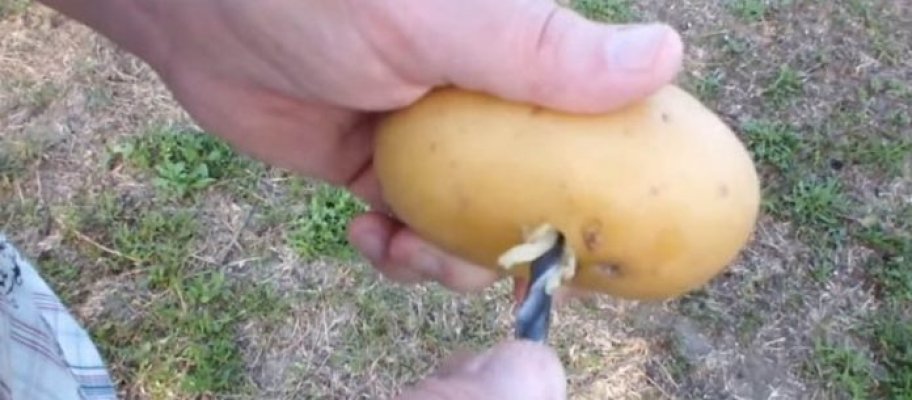 ruza-krompir-696x305