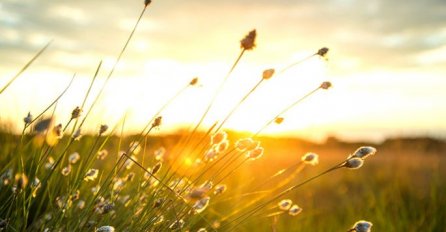 ASTROLOZI OTKRILI ŠTA NAS ČEKA NAREDNIH 7 DANA, PROGNOZA ZA SVE ZNAKOVE ZODIJAKA: Jedan znak nek se pazi, LOŠE MU SE PIŠE