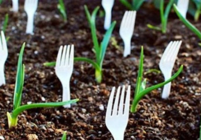 Svake godine zabija plastične viljuške u bašti: Kada vidite razlog, uradit ćete isto