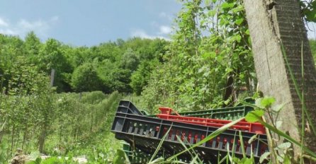 Miloš izašao u voćnjak i nije mogao da vjeruje šta vidi: Kome bi ovako nešto palo na pamet?!