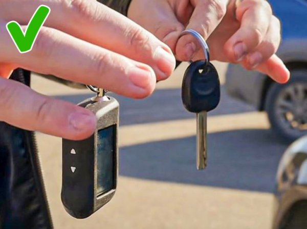 454624520ebdce181579c56375