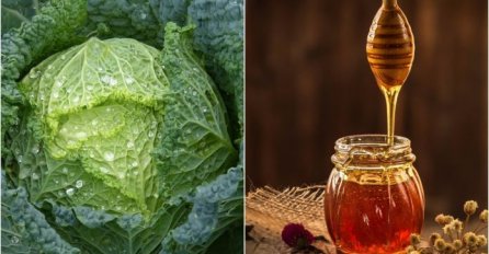 List kupusa i med čine čuda: Oblog protiv kašlja i bronhitisa