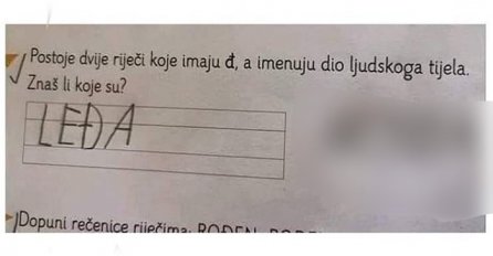 "Postoje 2 riječi koje imaju Đ a imenuju dio ljudskog tijela" Učenik je dobio ovaj zadatak, PRVU RIJEČ JE NAPISAO "LEĐA", ali druga riječ je HIT - KAKO MU JE OVO PALO NA PAMET?