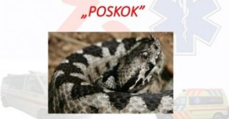 VAŽNO UPOZORENJE IZ HITNE POMOĆI: Seruma nigdje u BiH nema za nabaviti