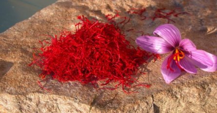 ŠAFRAN SPADA U NAJLEKOVITIJE ZAČINE! Pomaže kod MAMURLUKA i NESANICE, a evo kako možete da ga KORISTITE! Ipak, na OVO morate obratiti pažnju!