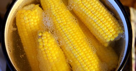 KUKURUZ JE JAKO ZDRAV ZA CIJELI ORGANIZAM: Mnogi ga kuvaju POGREŠNO jer ne znaju za 1 CAKU! (FOTO)