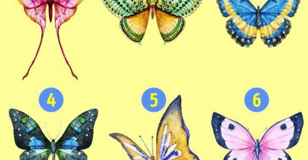 POGLEDAJTE SLIKU I ODABERITE LEPTIRA KOJI VAM SE NAJVIŠE DOPADA: On otkriva vašu najveću tajnu, SVIMA JE POGODILO