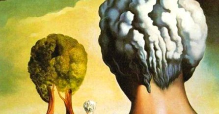 ŠTA STE PRVO VIDJELI NA OVOJ SLICI? Rezultat otkriva nešto jako važno: Ako ste prvo ugledali STABLO - EVO ŠTA MORATE URADITI ZA SREĆU