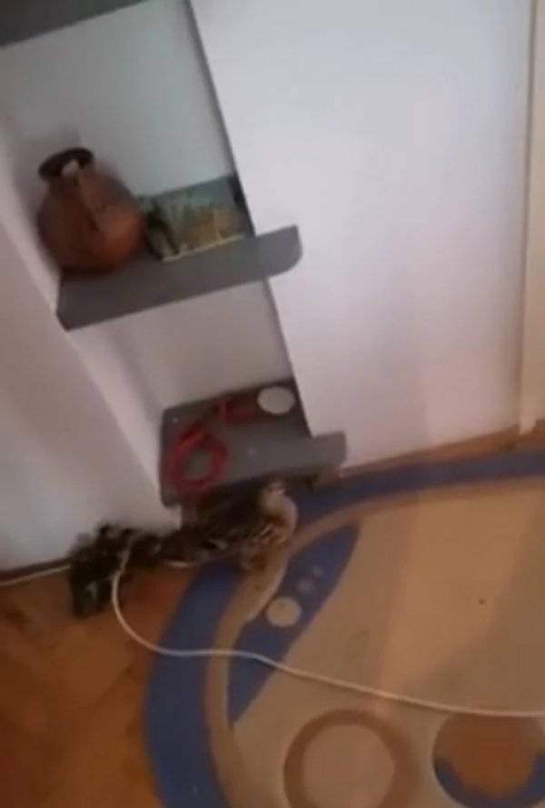 hcpk9kpturbxy9kodk5mtgxogi1n2ezymi1zmflyjhlmtmxytzhnzk3my5wbmerkwlnap4agaewbq