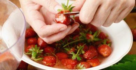 VRTLARI OTKRILI SAVJET KAKO DA UZGOJITE JAGODE NA BALKONU: Urod će biti toliki da nećete znati šta ćete s njima!