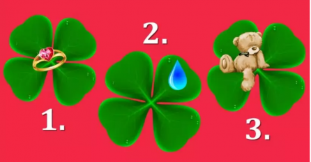 DJETELINA donosi SREĆU – Odaberite jednu sa SLIKE i saznajte kakvom SREĆOM ćete USKORO BITI NAGRAĐENI