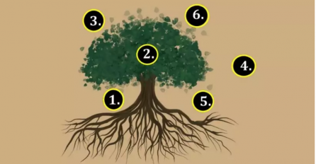 OVO JE DRVO ŽELJA: Zamislite želju i odaberite jedan broj, SADA POGLEDAJTE DA LI ĆE VAM SE ŽELJA OSTVARITI