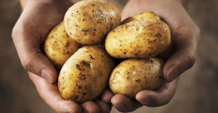 Ova NAMIRNICA ima NEOČEKIVANO dejstvo na naše zdravlje: Važno je KAKO je pripremate i sa ČIME je jedete!