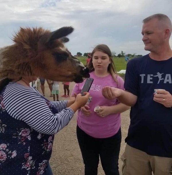 ad69f85f4eb369f7626d0b896d