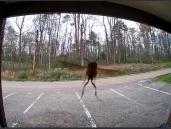 5b9bdf5199bc282bb44f0104cf