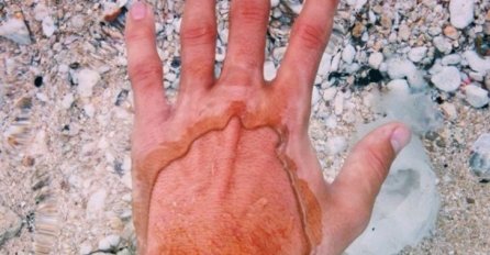 11 slika koje su nastale u NAJBOLJEM MOGUĆEM TRENUTKU: Ko god ih je napravio je pravi genije za tajming, TEK SLIKA BROJ 8!