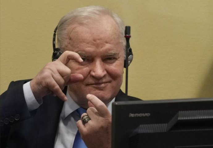 Sin Ratka Mladića najavio reviziju presude 