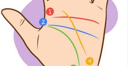 TRIK ZA GLEDANJE U DLAN, ovo gatare masno naplaćuju: Naučite šta govore linije na vašem dlanu, JEDNOSTAVNO I TAČNO