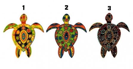 IZABERITE "SVOJU" KORNJAČU SA SLIKE: Otkrićete kakva budućnost vas očekuje