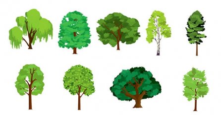 ODABERITE JEDNO STABLO SA SLIKE: Sada saznajte šta vas čeka u DRUGOM DIJELU GODINE! Test koji pogađa