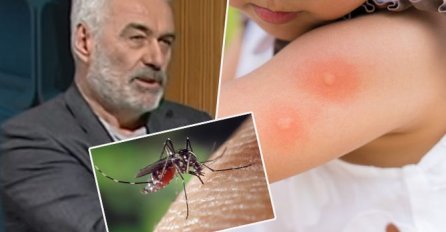 UBIJAJU VAS KOMARCI I NE ZNATE ŠTA ĆETE? Doktor Nestorović otkriva da ovu BILJKU držite u frižideru 5 dana i onda uradite OVO!