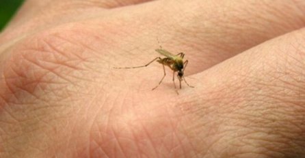 EVO KAKO DA SE ZAŠTITITE OD KOMARACA: Napravite domaći sprej od samo 2 JEFTINA sastojka, imate ih kod kuće! NEĆE VAM PRIMAKNUTI!