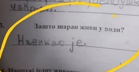 "ZAŠTO ŠARAN ŽIVI U VODI" Dječak dobio ovo pitanje u školi: Kad vidite njegov odgovor PUKNUT ĆETE OD SMIJEHA - učiteljica je morala uslikati