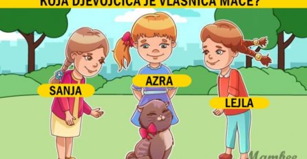 Mozgalica: Probajte pogoditi koja djevojčica je vlasnica mačke na slici