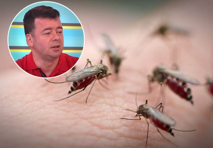 SAMO 1 UBOD KOMARCA MOŽE DA IZAZOVE SUPERINFEKCIJU: Profesor Poleksić upozorio  - ovo nikako ne smijete da radite