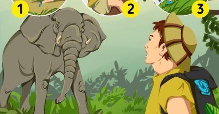Možete li preživjeti susret sa slonom u divljini?