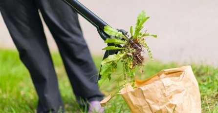 KUHINJSKA SO UNIŠTAVA KOROV REKORDNOM BRZINOM ALI SAMO POD JEDNIM USLOVOM: Korov će se bukvalno istopiti 