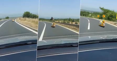 "ČEK, ŠTA JE OVO? MALO ŽUTO I JURI CESTOM" Čovjek vozio automobil u Hrvatskoj, kad je pored njega ovo proletjelo,  ČEKAJTE DOK VIDITE ŠTA JE U PITANJU (VIDEO)
