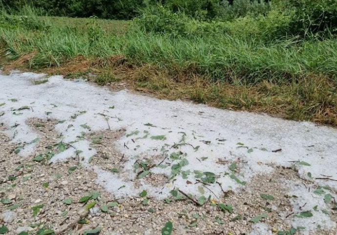 SNAŽNO NEVRIJEME UNIŠTILO MALINJAKE, padao grad, kuće ostale bez struje: Obilna kiša je na putevima oko Prijepolja pokrenula odrone