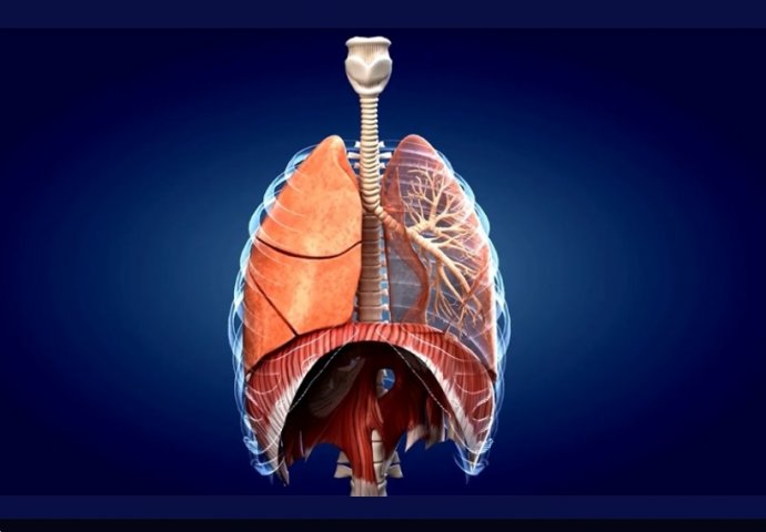MI JE JEDEMO, A ONA JEDE NAS: Ova hrana može biti vrlo opasna, prečestim unosom u organizam riskirate teška oboljenja