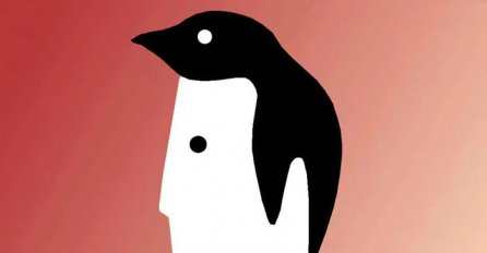 ŠTA STE PRVO UGLEDALI NA OVOJ SLICI? Test koji je tačan 100%: Evo šta to govori o vama