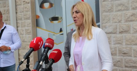 Cvijanović: Ramiz Salkić jedino nema problem sa RS kada uzima svoju platu