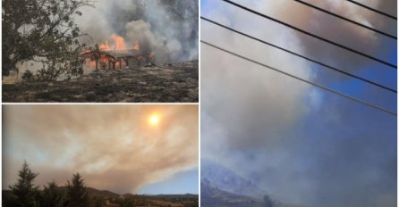 VATRENA STIHIJA ZAHVATILA CELU ŠUMU NA KIPRU: Evakuisana su brojna naselja - pomoć stiže od Grčke i Izraela (FOTO)