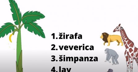 OVAJ TEST JE SVIMA POGODIO: Ko će prvi doći do banane? VAŠ ODGOVOR OTKRIVA VAŠE NAJVEĆE TAJNE